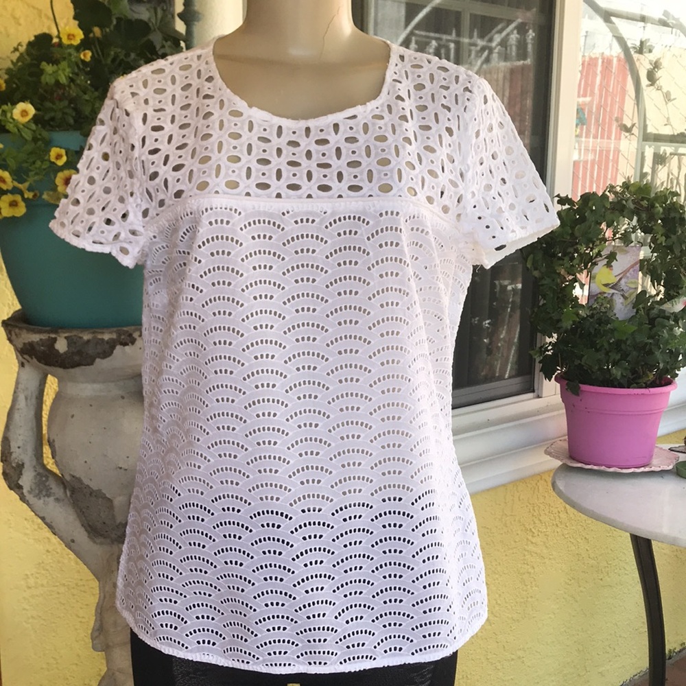 Banana Republic poppy white lace blouse